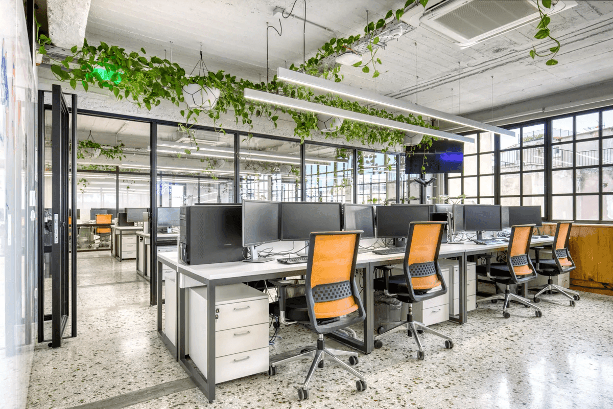 Ferryscanner's open office space featuring modern workstations with large monitors, ergonomic orange chairs, and sleek white desks. The space is filled with natural light from large industrial-style windows and decorated with hanging greenery.