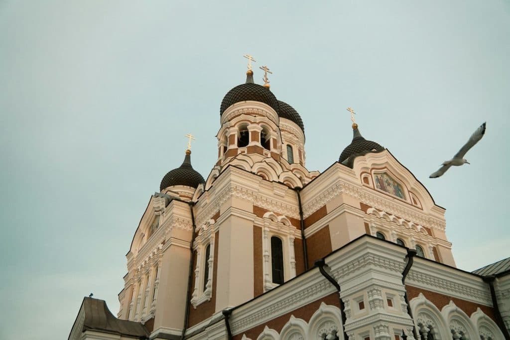 A stone church with a tall, pointed steeple seen against a clear sky, with a single bird in mid-flight crossing the frame in front of the steeple.