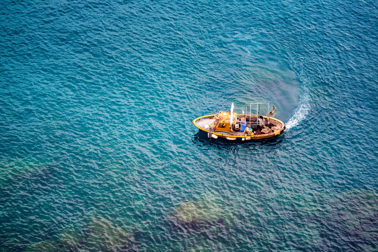 Ferryscanner x Enaleia: Partnerskap tillsammans för renare hav