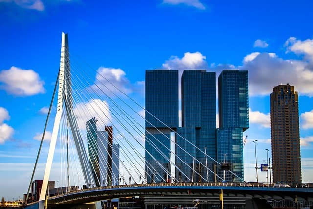 Erasmus Bridge in the city of Rotterdam