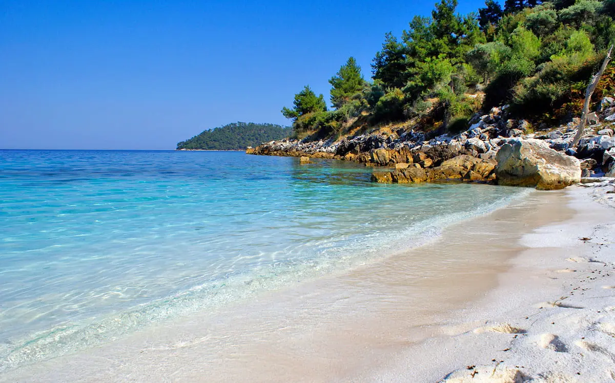 Crystal-clear waters and a secluded beach with pine trees and rocky coastline under a bright blue sky.