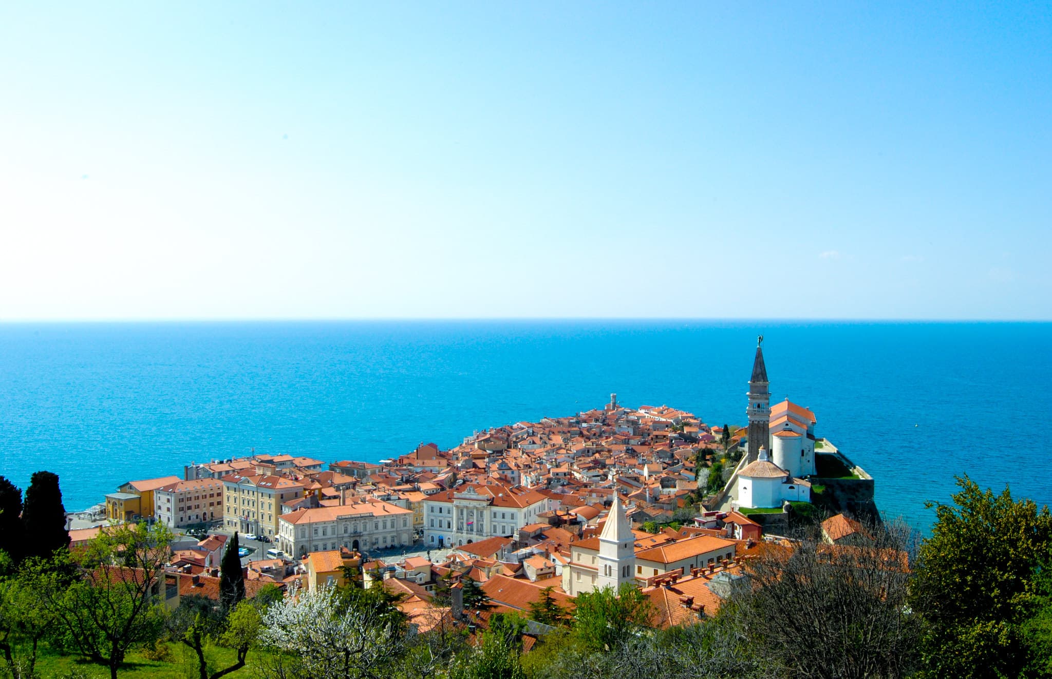 ferryscanner-slovenia-pirano-(6)